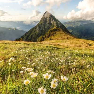 Publication Instagram de @frnalex